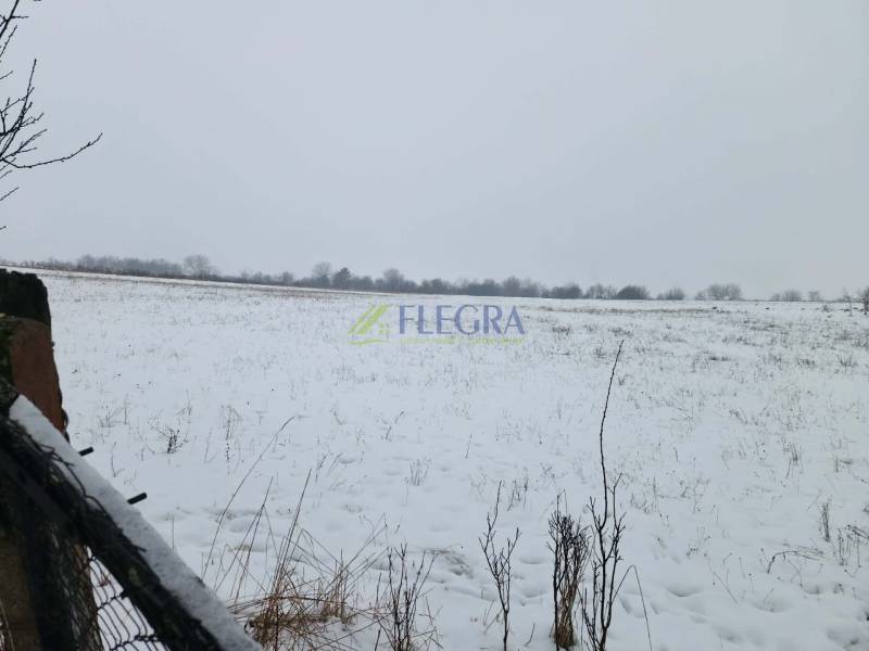 Snowy landscape near a family house in Felsőtelekes with scattered bushes and trees.