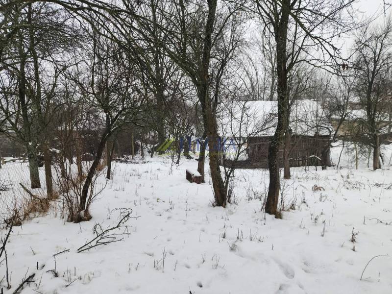 A snow-covered garden with a family house in Felsőtelekes, surrounded by trees.