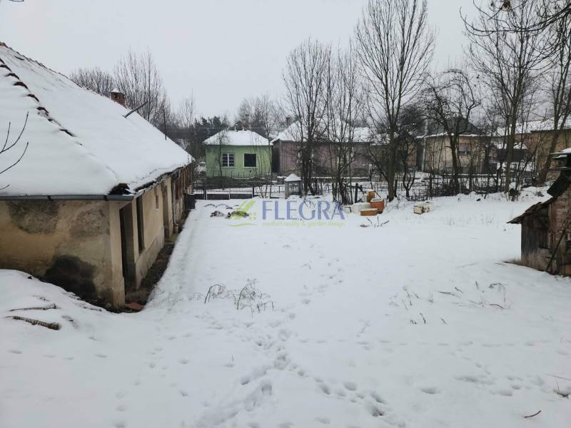 A snow-covered yard in front of a family house in the town of Felsőtelekes, trees without leaves.