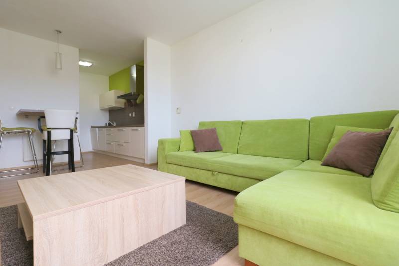 Living room in a two-room apartment with a wooden decor floor and a green sofa.
