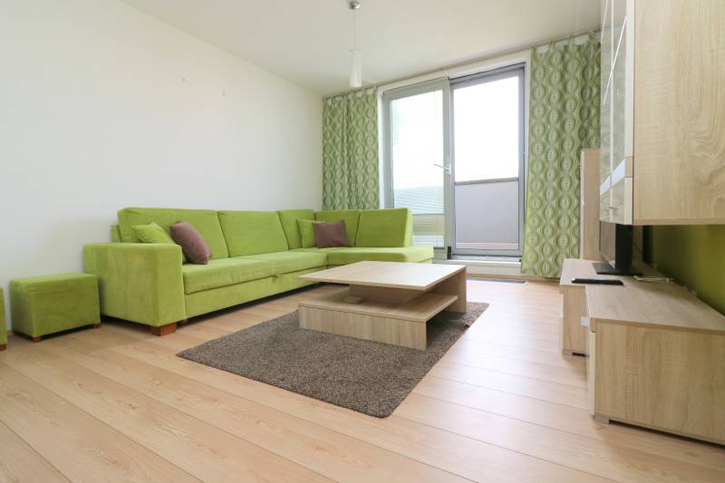 Living room in a two-room apartment with a sofa, coffee table, and wooden floor decor.
