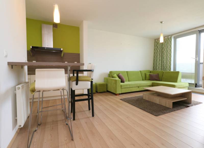 Living room in a 2-room apartment with a wooden decor floor and a green sofa.