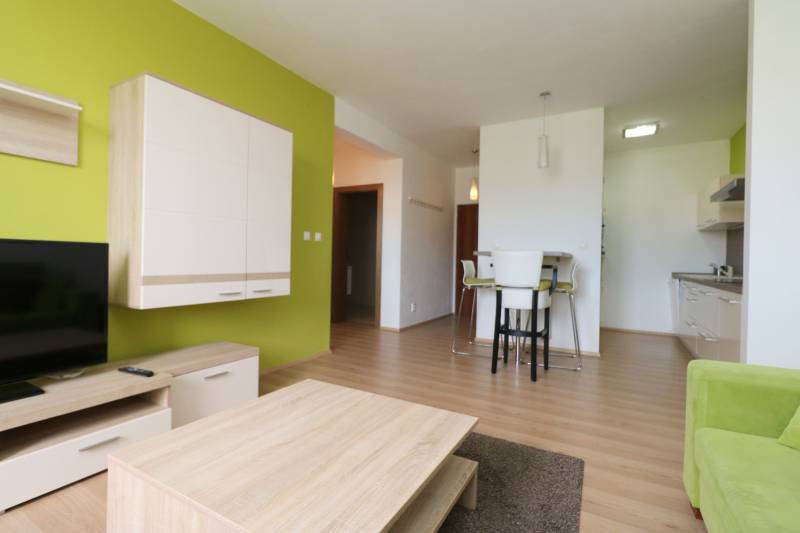 Interior of a 2-room apartment with furniture, a green wall, and a floor with a wooden decor.