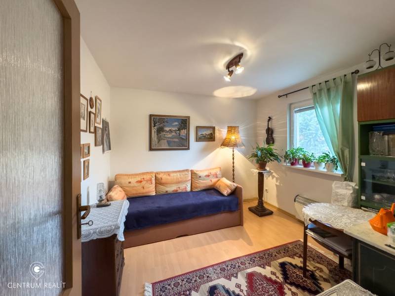 A room in a family house with a sofa, a carpet, paintings on the walls, plants by the window.