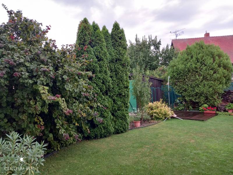 A garden at a family house on Hrabová Street in Hamuliakovo with dense greenery and a lawn.