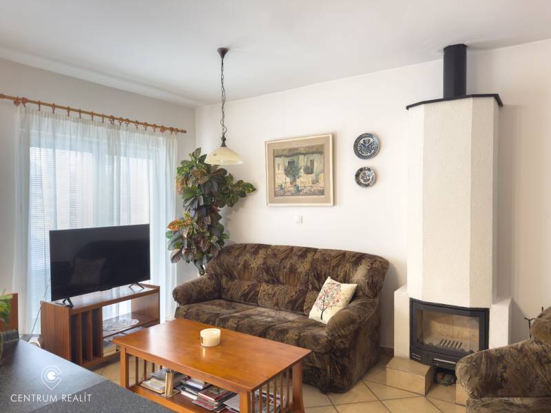Living room with a sofa, fireplace, television, and houseplant in a family house.