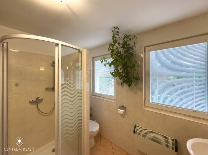 A bathroom in a family house with a glass shower enclosure and a plant by the window.
