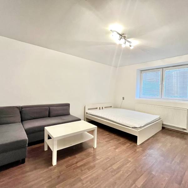 1-bedroom apartment with wood-patterned flooring, a sofa, and a bed, bright interior.
