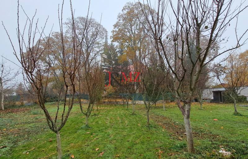 A garden with young trees at a family house in Kalná nad Hronom during autumn.