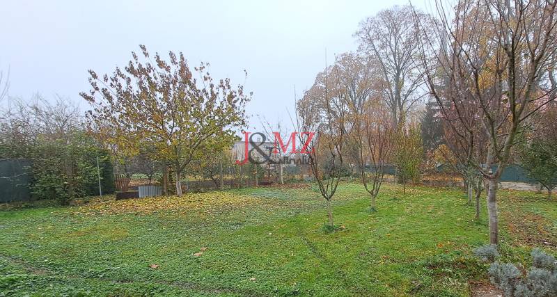 Greenery and trees surrounding the garden of a family house in Kalná nad Hronom in autumn.