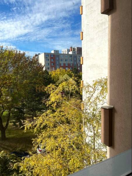 The view from the window on Palkovičova Street in Bratislava - Ružinov, surrounded by greenery and buildings.