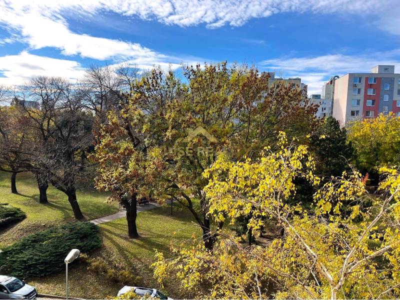 A park with colorful trees and apartment buildings in the area of Bratislava - Ružinov, Palkovičova Street.
