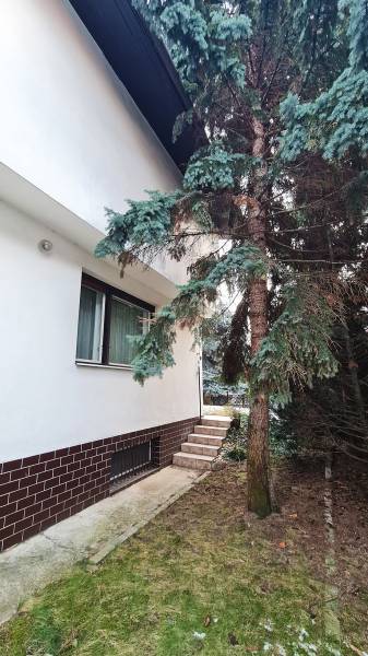 A family house on Fibichova Street in Bratislava - Ružinov with stairs and a tree.