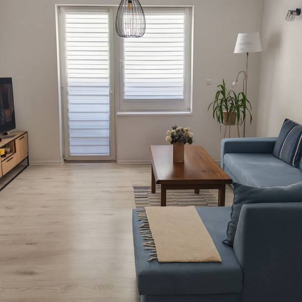 Living room with wood-patterned flooring, blue sofa, and coffee table.
