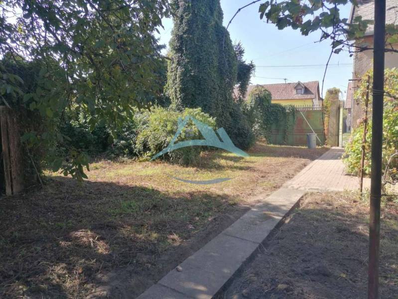 The garden of the family house on SNP in Šahy with trees and a paved walkway.