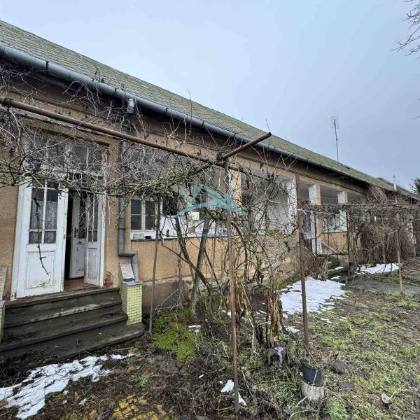 A family house on SNP Street in Šahy with a withered plant in front of the entrance.