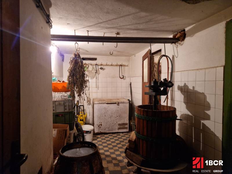 The basement of a family house with a wine press and hanging herbs. Tiled walls, checkered floor.