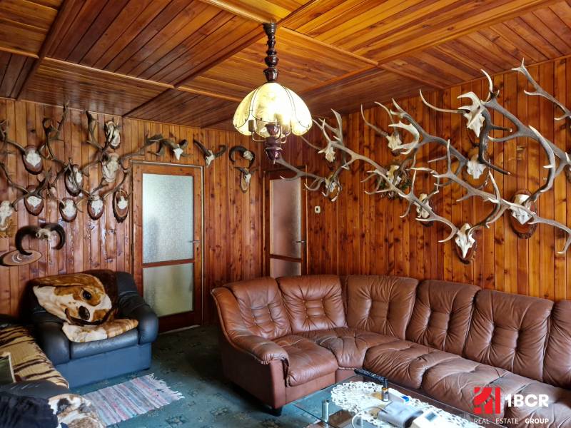 Family house with wood-decor flooring, leather sofa, walls decorated with antlers.
