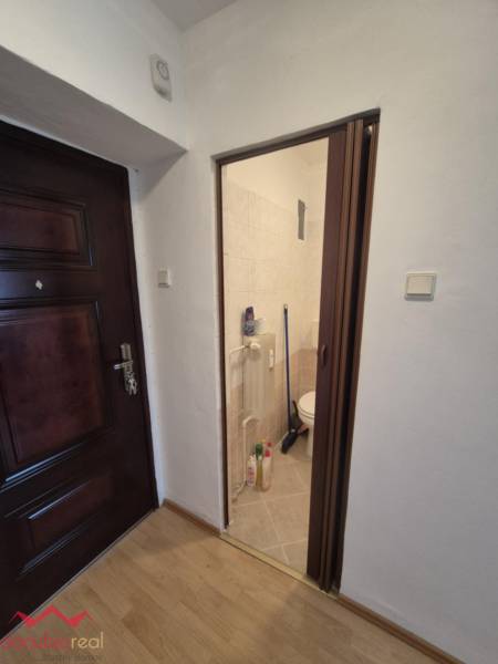 Interior of a 2-room apartment with a wooden decor floor and a view into the bathroom.