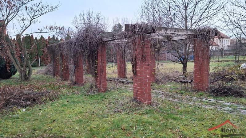 Garden at a family house on Levická Street in Vráble with a brick pergola and plants.