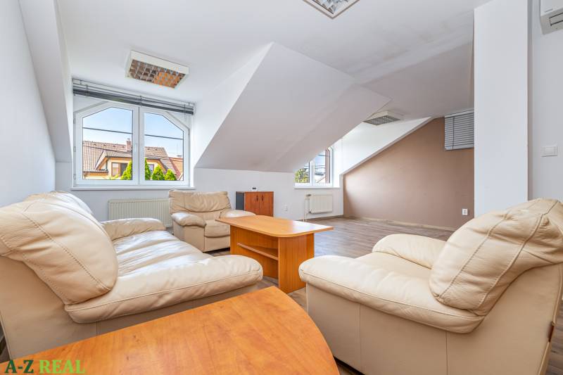 A bright living room in a family house with leather sofas and a wooden decor floor.