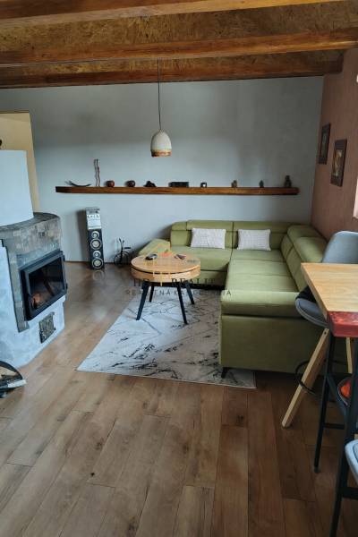 A room in a cabin with a fireplace, a green sofa, and a wooden-patterned floor.