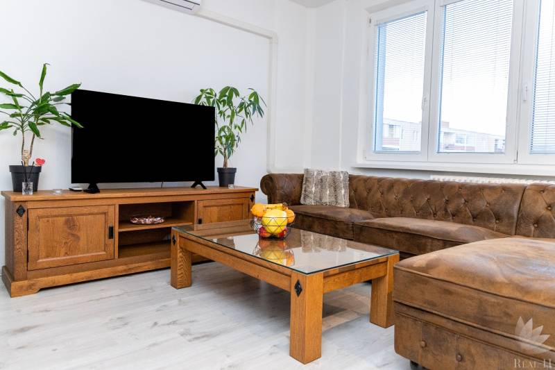 Living room of a one-room apartment with a sofa, table, television, plants, and a wooden decor floor.