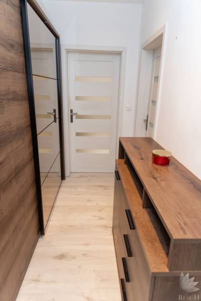 A hallway in a one-room apartment with a wooden decor floor and storage space.
