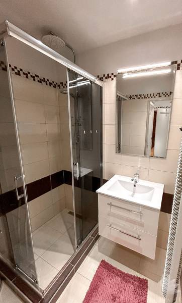 Bathroom in a studio apartment with a glass-enclosed shower, sink, and mirror.