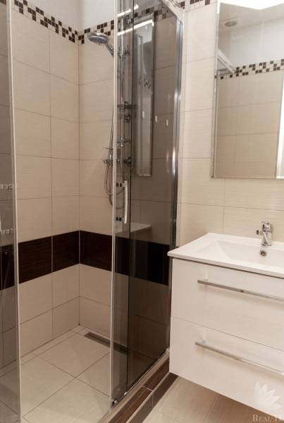 Bathroom with a glass shower enclosure and a white sink in a 2-room apartment.