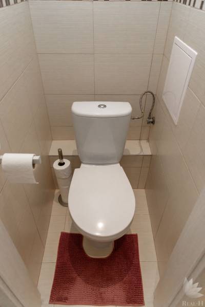 Bathroom in a 2-room apartment with a toilet, red mat, and tiles.