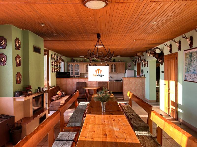 IMG_9049 – kópia.JPEG