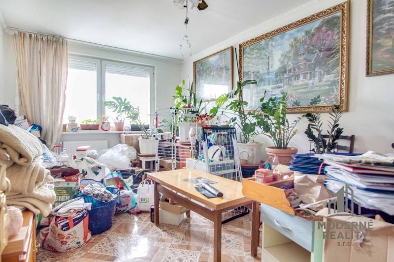 A room in a 2-bedroom apartment with greenery, furniture, and various items on the floor with decor.