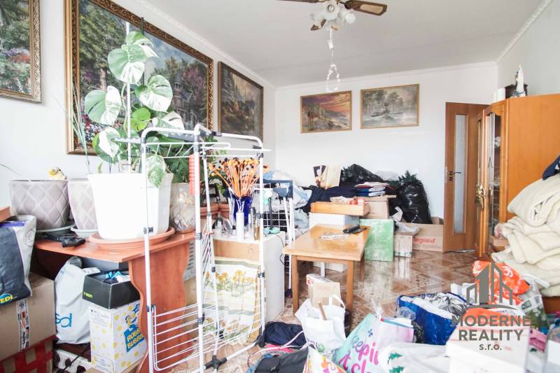 Overcrowded room in a 2-room apartment with decorations, plants, and paintings on the walls.