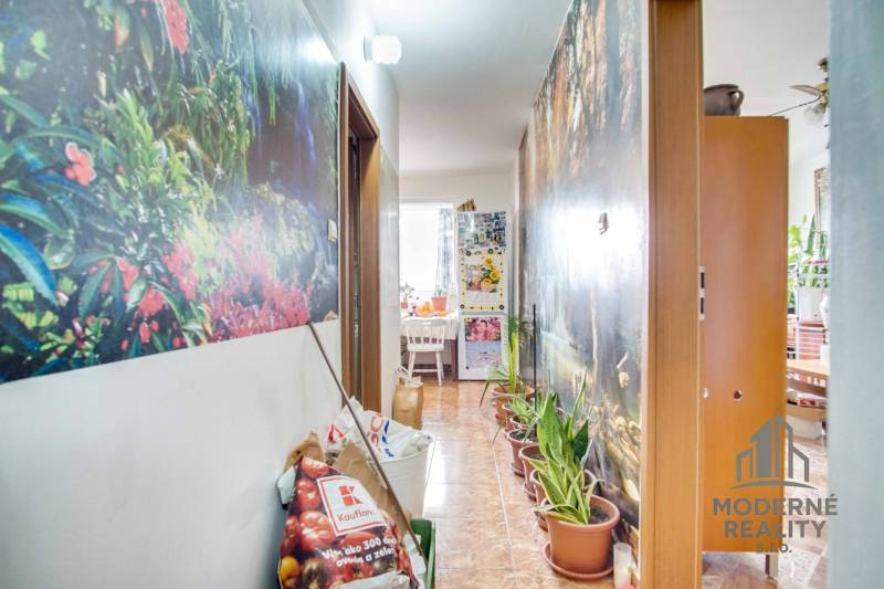 A hallway in a 2-room apartment with plants, wallpaper, and storage bags.