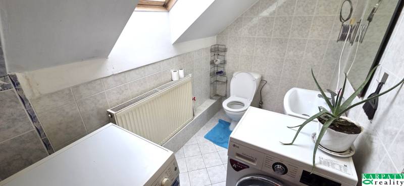 A bathroom in a family house with a skylight, a washing machine, and a plant.