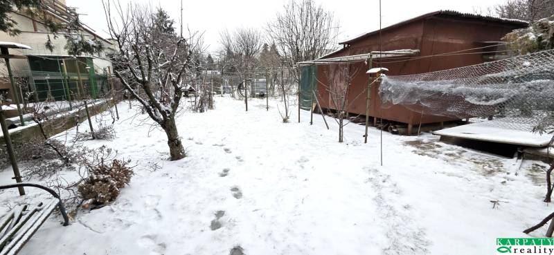 A snowy garden with fruit trees near a family house in Trnava.