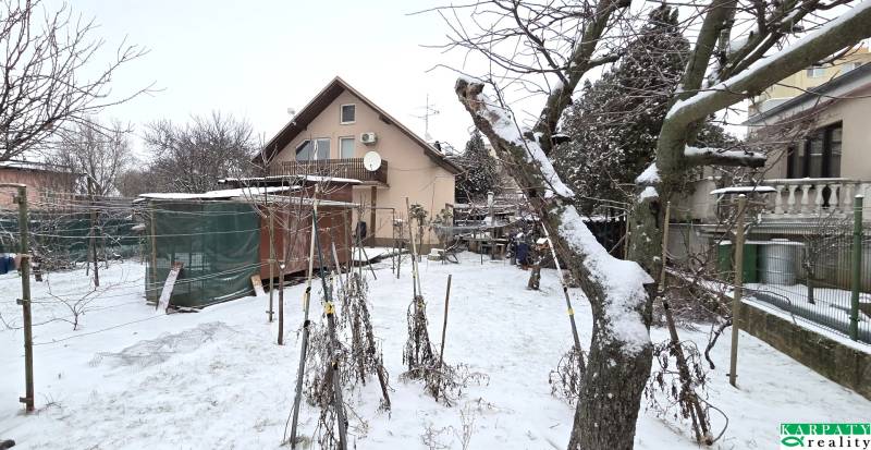 A family house in a snowy garden in Trnava, trees and vines.