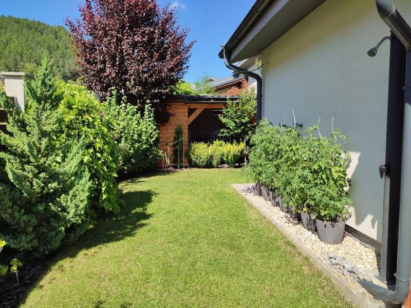 A garden at a family house in Kotrčiná Lúčka with cultivated plants and trees.