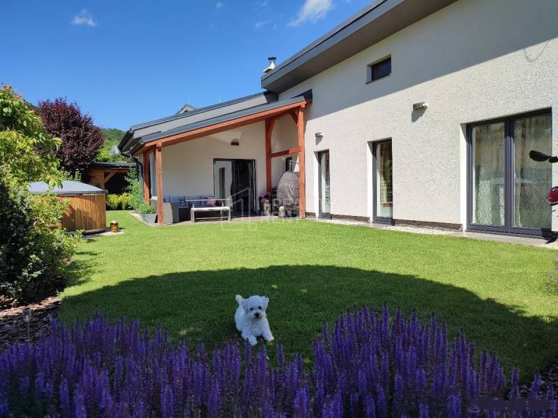 A family house in Kotrčiná Lúčka with a landscaped garden, terrace, and swimming pool in the yard.