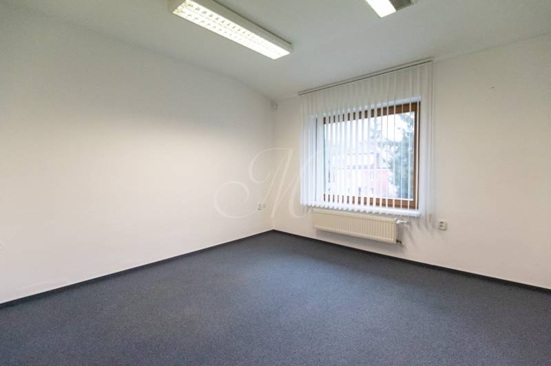 Empty room in a 4-room apartment with carpet and a large window.