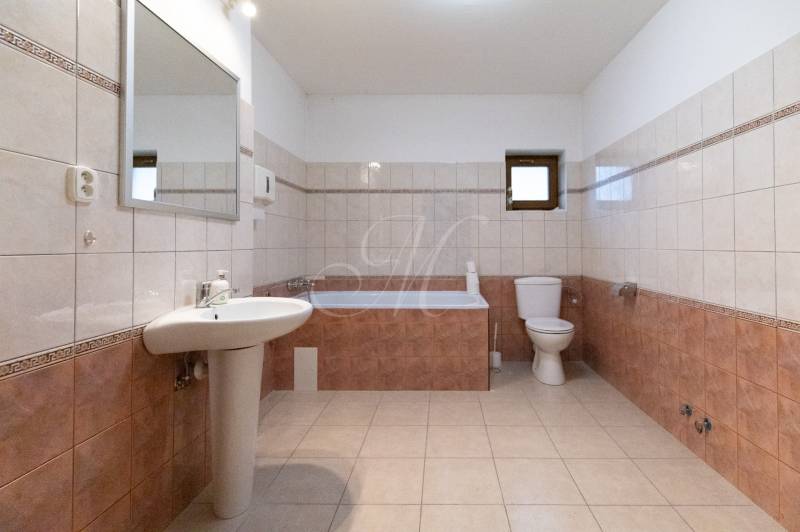 Bathroom with a shower, sink, mirror, and toilet in a 4-room apartment.