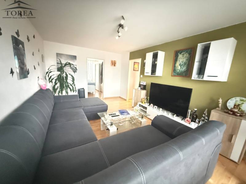 Living room with a comfortable sofa and a television, 3-room apartment with a wooden decor floor.