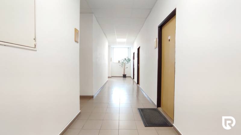 A corridor with tiled floors in offices, white walls, a plant, and a bright window at the end.