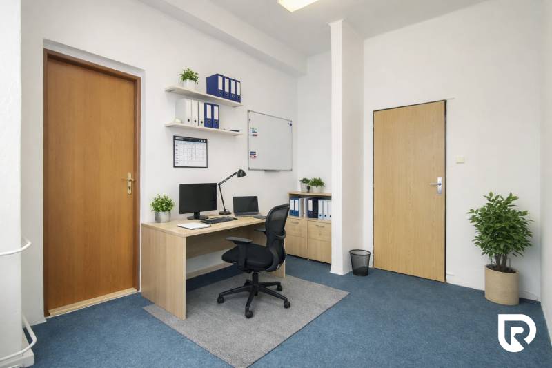 Offices with blue carpet and wooden furniture, meeting room, shelves with documents, plants.