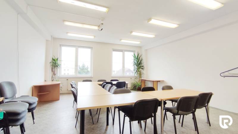 Offices with a conference table, chairs, and plants, floor with wooden decor.