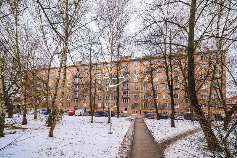 A panel apartment building surrounded by trees and snow in Fiľakovo, suitable for a 2-room apartment.