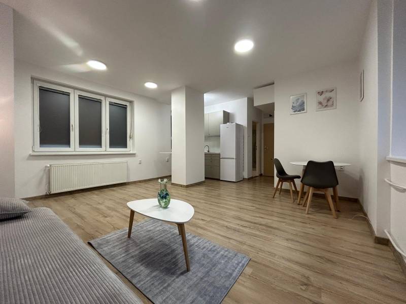 A studio apartment with a wooden floor, a sofa, a table, a kitchen, a dining area.