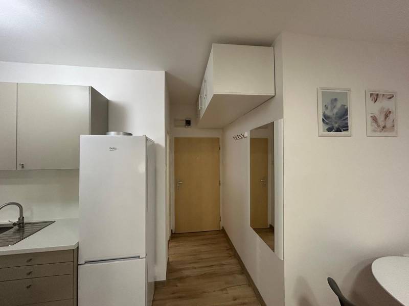 Studio apartment with a kitchenette, white refrigerator, wood-patterned floor, and a mirror on the wall.