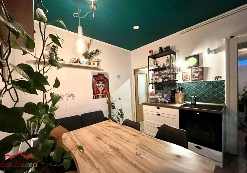 A family house kitchen with a wooden decor floor, green walls, and plants.